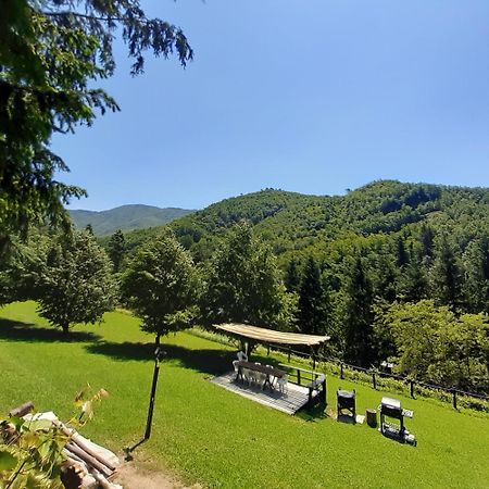 Il Bosco Di Campo Marzano Rooms & Apartments Borzonasca Dış mekan fotoğraf