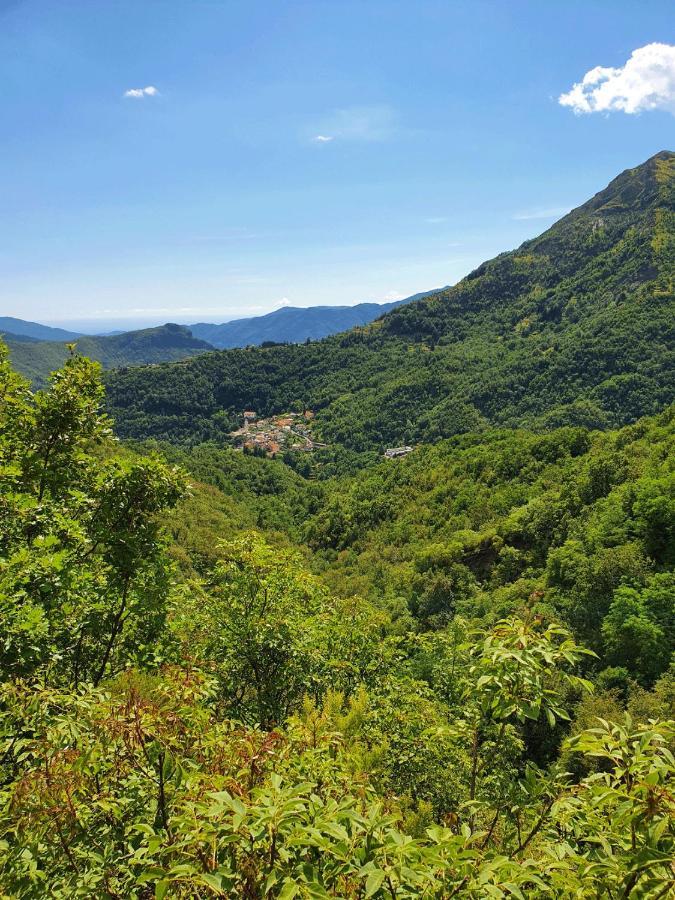 Il Bosco Di Campo Marzano Rooms & Apartments Borzonasca Dış mekan fotoğraf