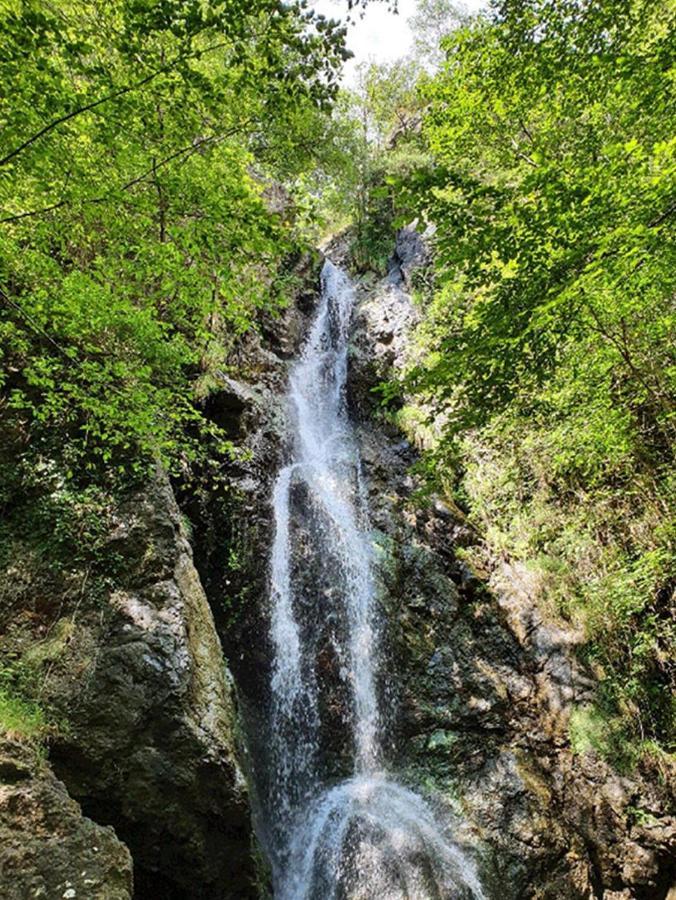 Il Bosco Di Campo Marzano Rooms & Apartments Borzonasca Dış mekan fotoğraf
