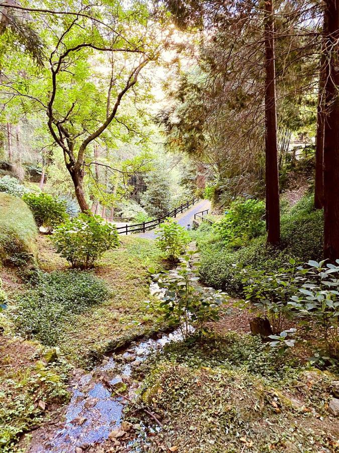 Il Bosco Di Campo Marzano Rooms & Apartments Borzonasca Dış mekan fotoğraf