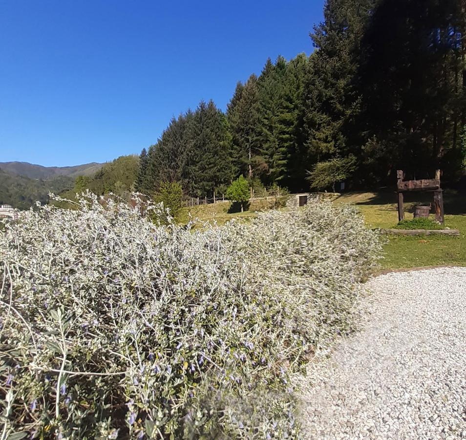 Il Bosco Di Campo Marzano Rooms & Apartments Borzonasca Dış mekan fotoğraf