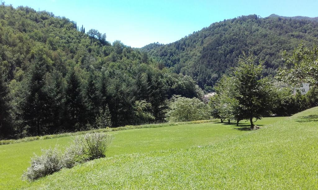 Il Bosco Di Campo Marzano Rooms & Apartments Borzonasca Dış mekan fotoğraf