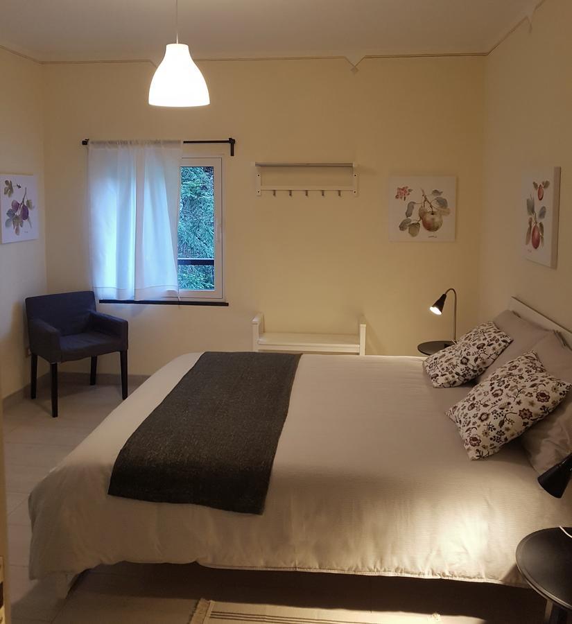 Il Bosco Di Campo Marzano Rooms & Apartments Borzonasca Dış mekan fotoğraf