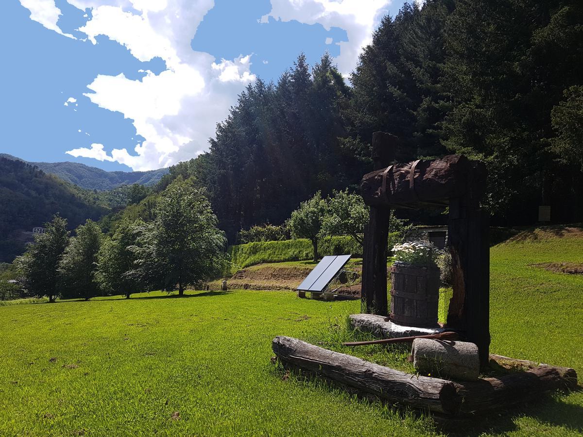 Il Bosco Di Campo Marzano Rooms & Apartments Borzonasca Dış mekan fotoğraf