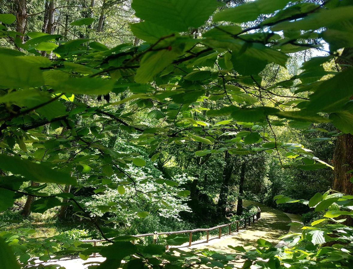 Il Bosco Di Campo Marzano Rooms & Apartments Borzonasca Dış mekan fotoğraf