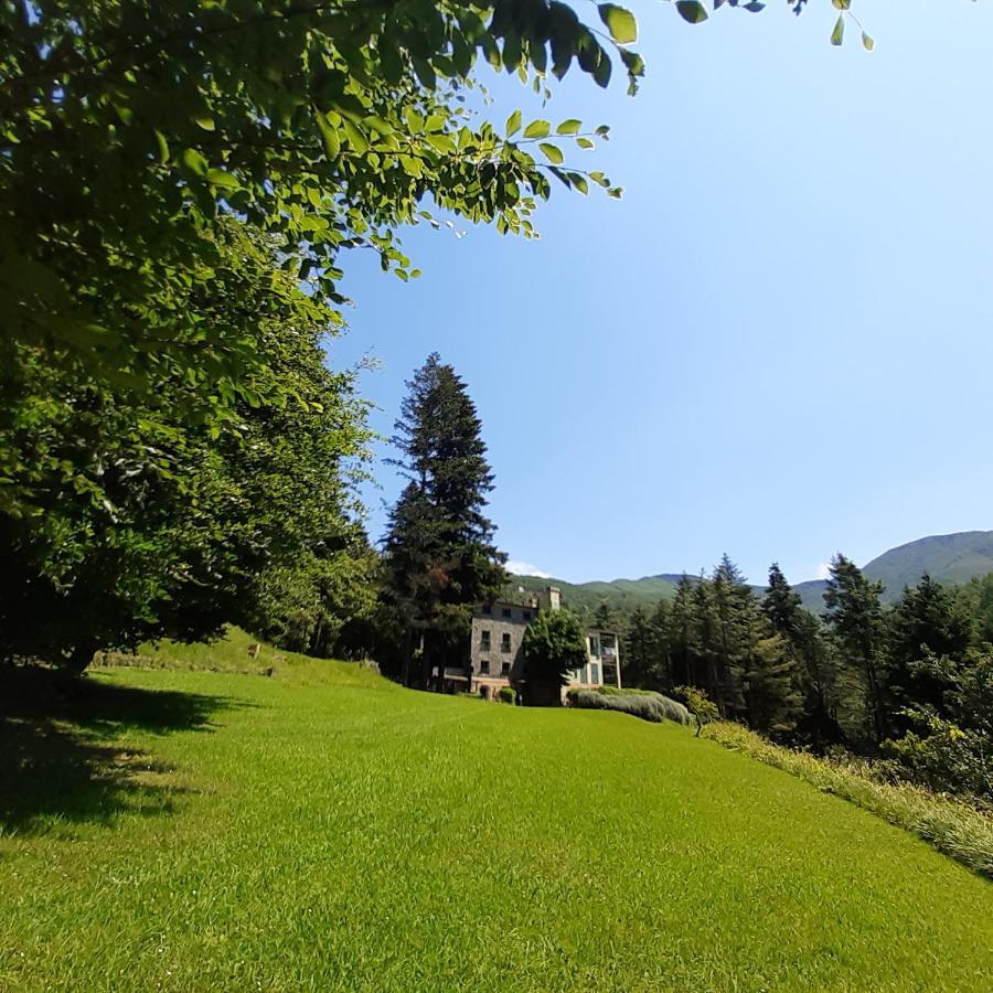 Il Bosco Di Campo Marzano Rooms & Apartments Borzonasca Dış mekan fotoğraf