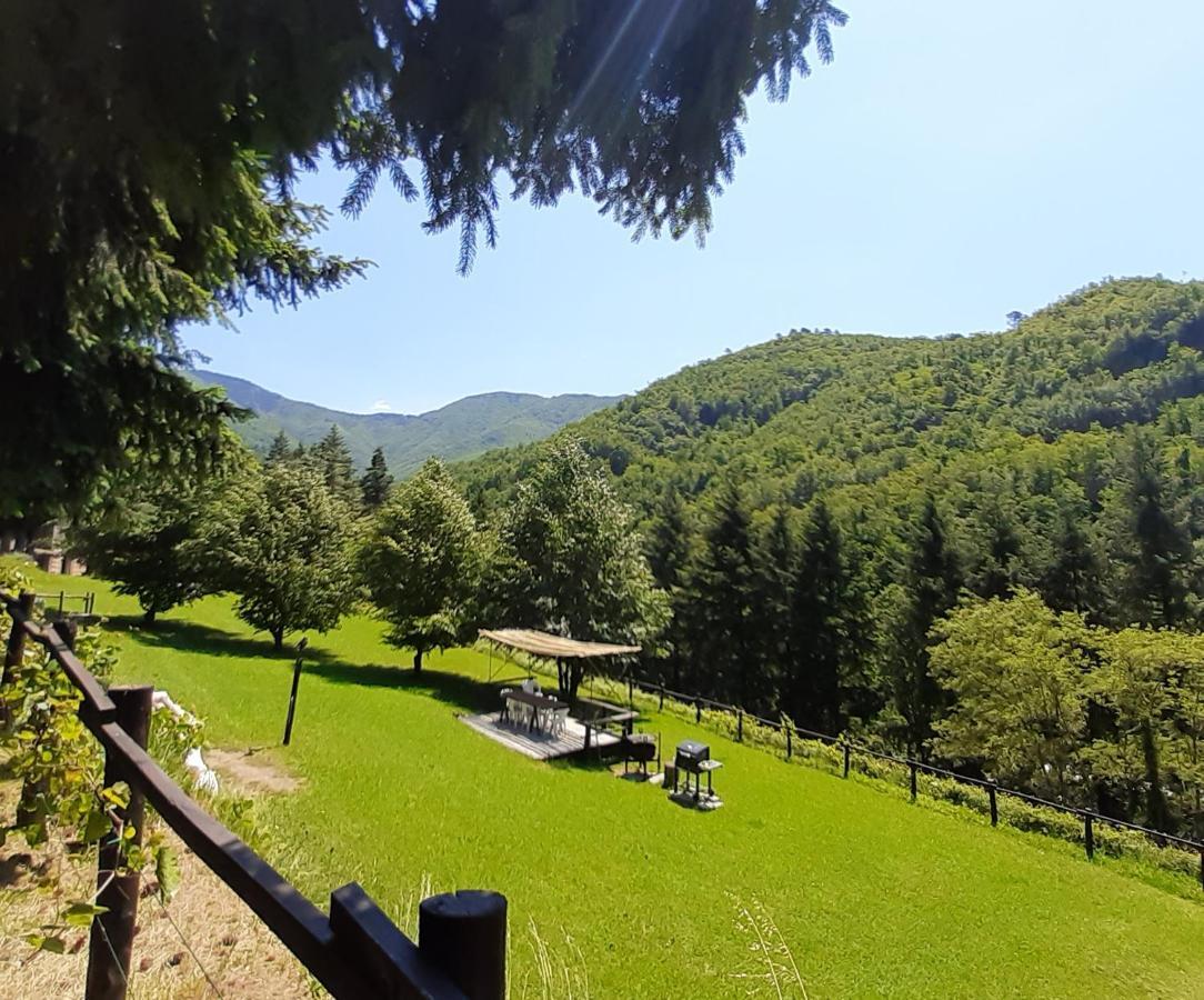 Il Bosco Di Campo Marzano Rooms & Apartments Borzonasca Dış mekan fotoğraf